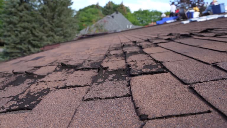 Asphalt Shingles Roofing in Wakefield, MI