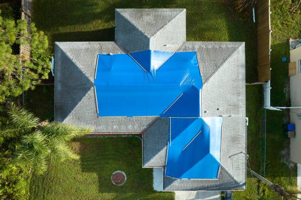 Best Roof Replacement  in Wakefield, MI