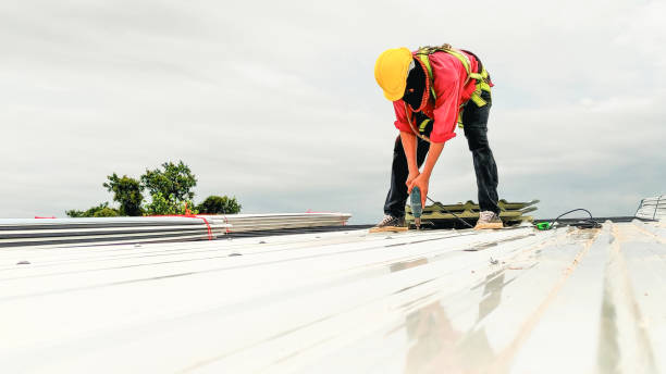 Best Steel Roofing  in Wakefield, MI
